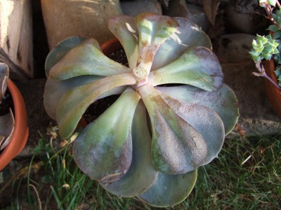 DSCF9035.JPG