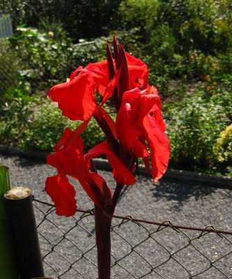IMG_1276.JPG