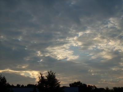 früh morgens am 28.08.09.JPG