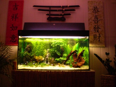 aquarium.JPG