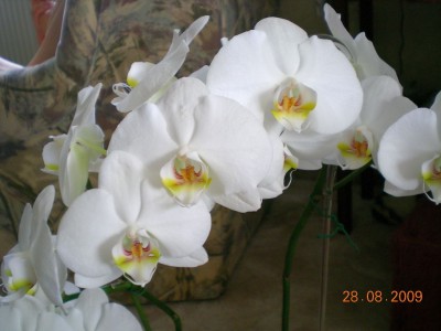 DSCN55430001.JPG