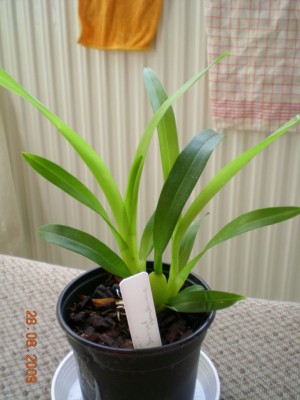 DSCN55250001.JPG