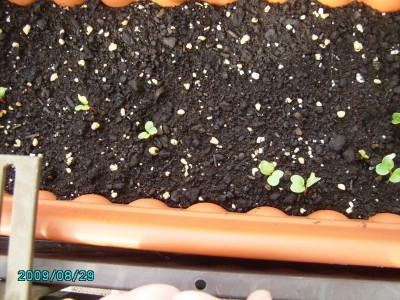 PICT0609.JPG