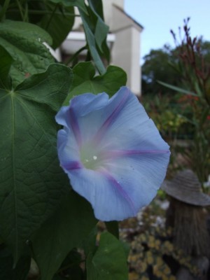 DSCF4273.JPG