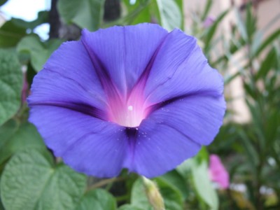 DSCF4272.JPG