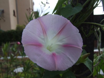DSCF4270.JPG