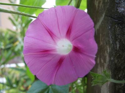 DSCF4269.JPG