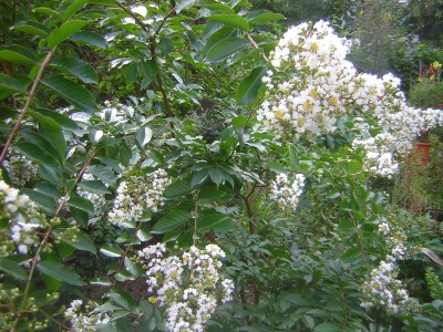 DSCN3870.JPG