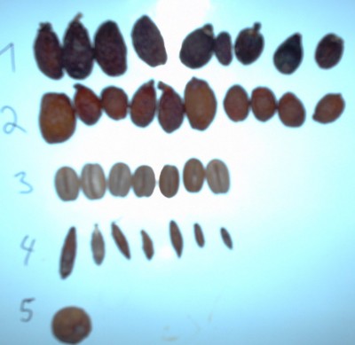 HPIM4180.JPG