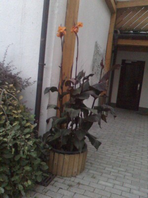 moto_0259.jpg