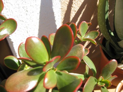 Bild 070_1400x1050.jpg