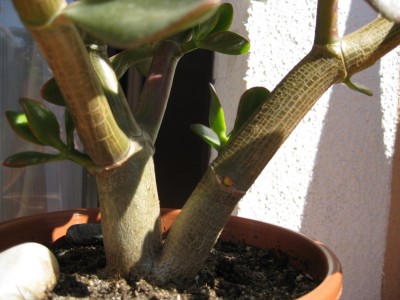 Bild 068_1400x1050.jpg