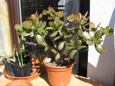 Bild 066_1400x1050.jpg