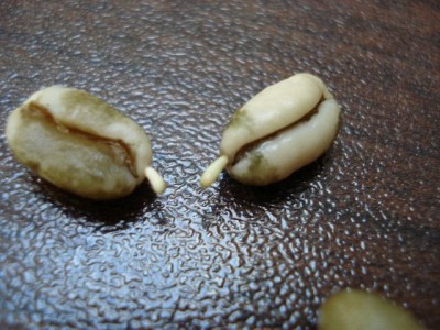 k-DSC01911.JPG