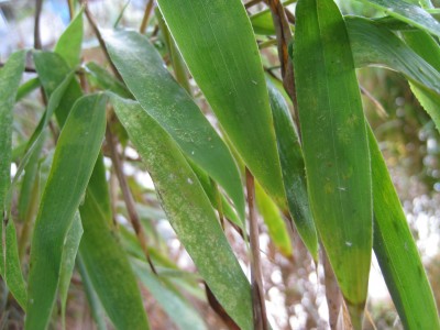 rsz_img_0546.jpg