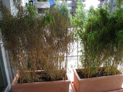 rsz_img_0545.jpg