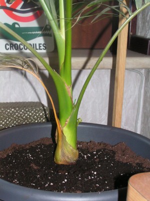 PICT1967.JPG