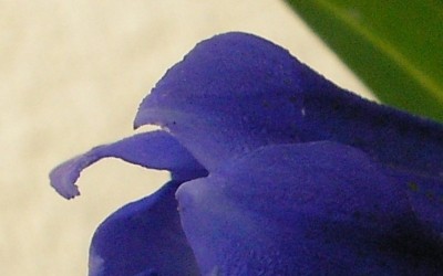 Kopie von SANY0124.JPG