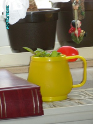 PICT0603.JPG