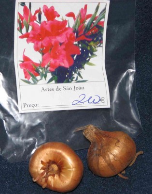 Astes de Sao Joao.jpg