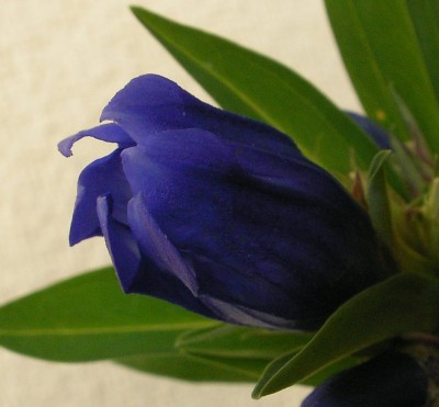 Kopie von Kopie von SANY0124.JPG