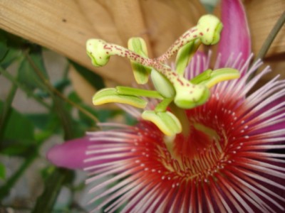 September 2009 010.jpg