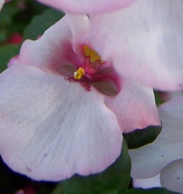 100_4398.jpg
