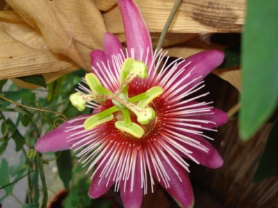 September 2009 008.jpg