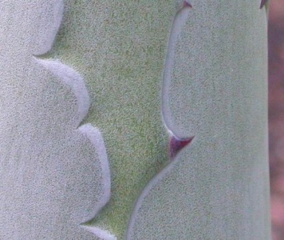 rätsel 090906.jpg