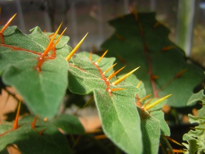 DSCN3867.JPG