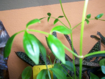 Immagine 255.jpg