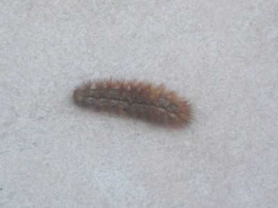 IMGP0901_Bildgröße ändern.JPG