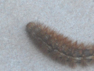 IMGP0900_Bildgröße ändern.JPG