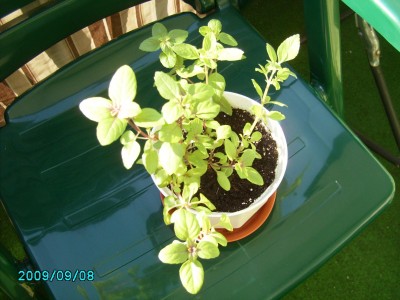 PICT0617.JPG