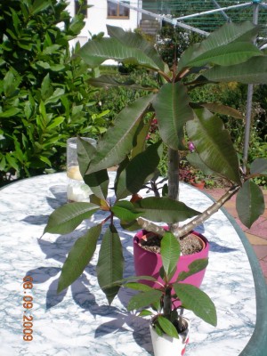 DSCN55740001.JPG