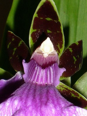 RSCN55940001.JPG