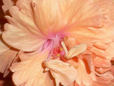 RSCN55820001.JPG