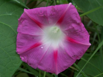 100_8864.jpg