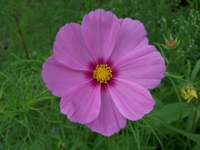 100_8848.jpg
