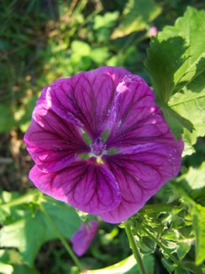 100_8259.jpg