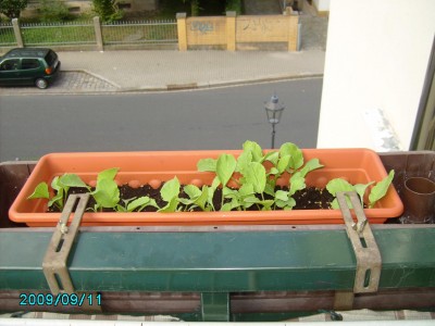 PICT0633.JPG