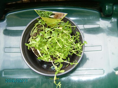 PICT0630.JPG