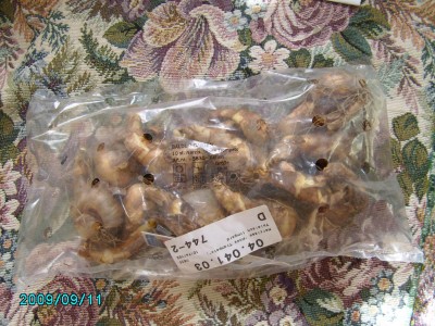 PICT0635.JPG