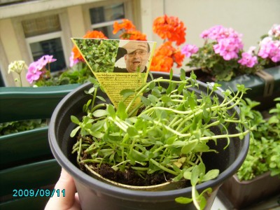 PICT0631.JPG