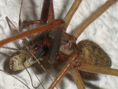 RSCN56060001.JPG