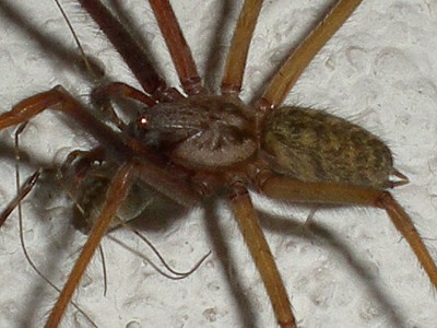 RSCN56050001.JPG