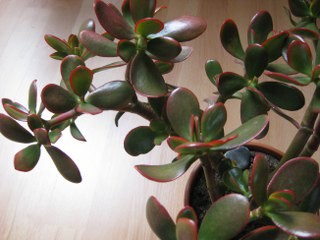 Bild 002_320x240.jpg