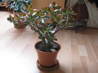 Bild 001_320x240.jpg