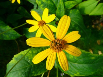 2009-09-15 042a.jpg