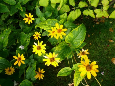 2009-09-15 041.jpg